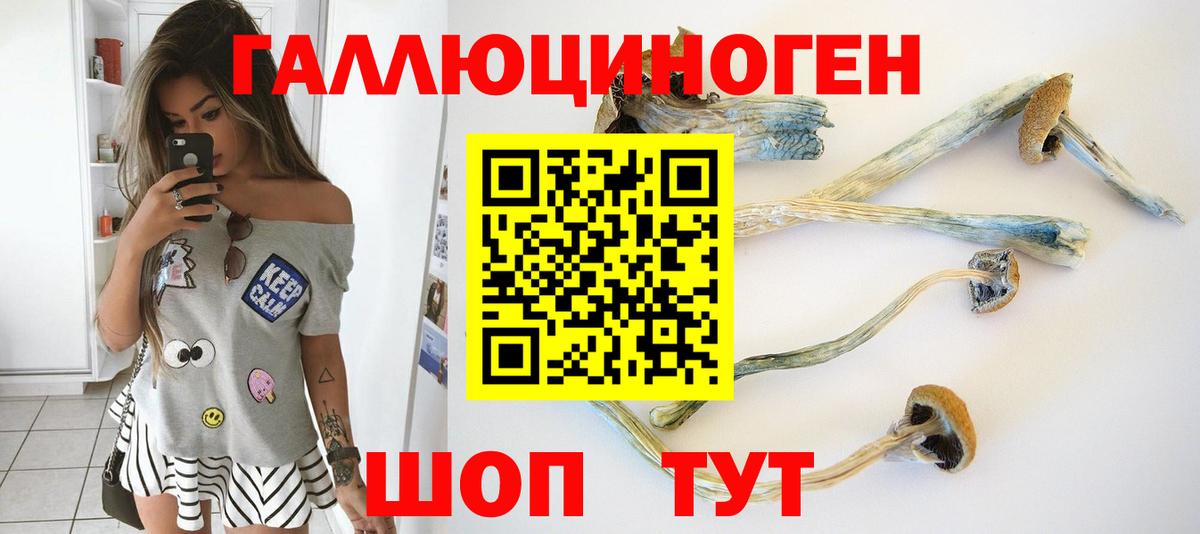 Псилоцибиновые грибы мицелий Борзя