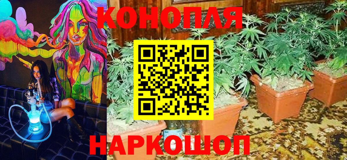 Бошки Шишки тримм  Канабис Bruce Banner  Конопля AK-47  Конопля OG Kush  Борзя  Вход с VPN 